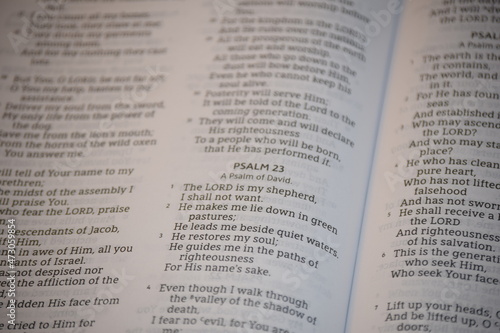 Psalm 23 Bible Scripture comfort soothing Lord shepherd