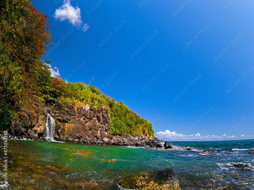 View of 'Bassin Vert' waterfall hidden on the coast of Mauritius island  Photos | Adobe Stock