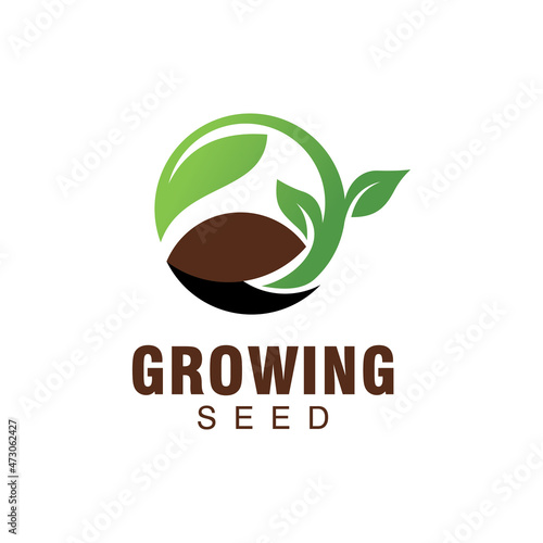 growing seed logo