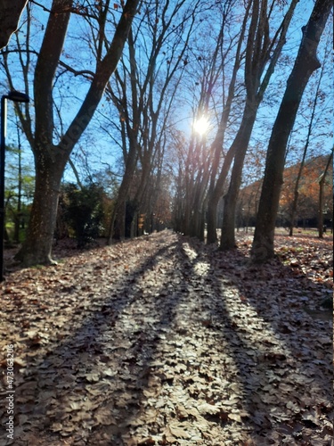 Camino d'otoño en el Parc de Sant Salvador, in Santa Coloma de Farners, Catalunya photo