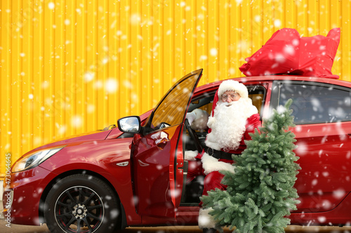 Santa Claus with fir tree g...
