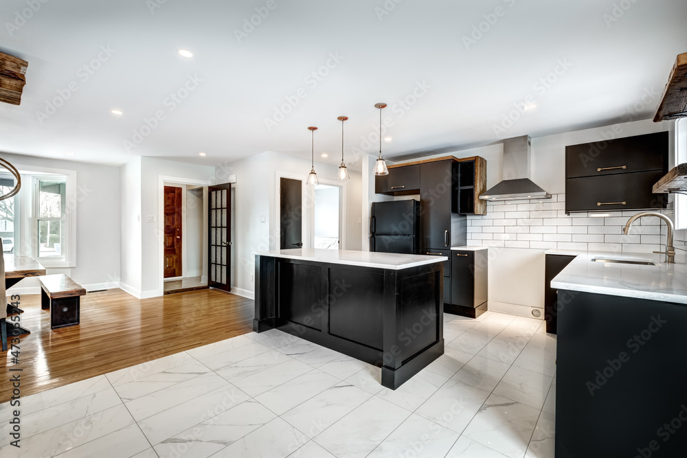 Typical budget Canadian single family house, renovated with some luxury elements in design partially furnished with kitchen, rooms, bedrooms, appliances, finished basement, laundry, backyard and patio Typical budget Canadian single family house, renovated with some luxury elements in design partially furnished with kitchen, rooms, bedrooms, appliances, finished basement, laundry, backyard and patio