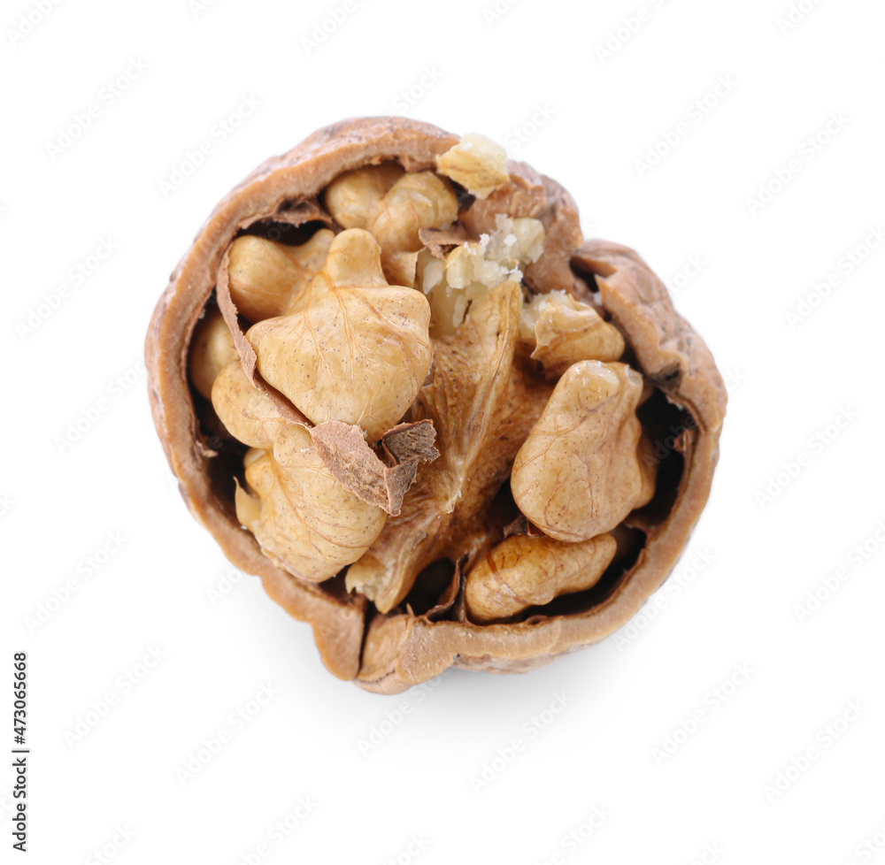 Fresh walnut on white background Fresh walnut on white background