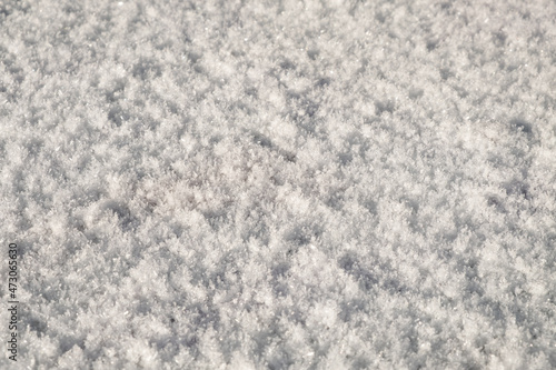 white snowy frost texture, frosty winter background.