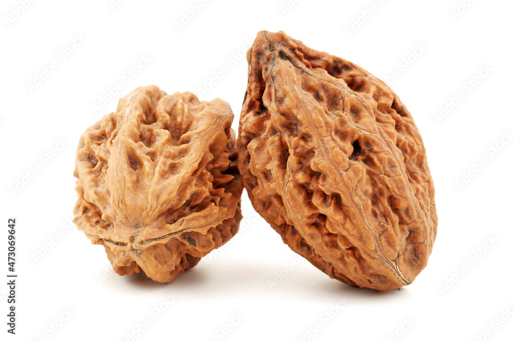 walnut isolated on white background walnut isolated on white background