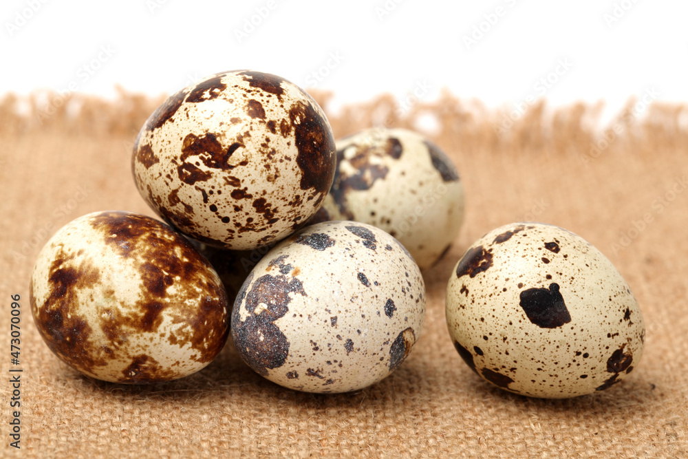 quail eggs on white background quail eggs on white background