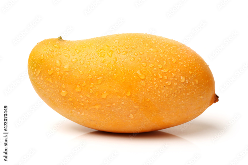 Mango on white background Mango on white background