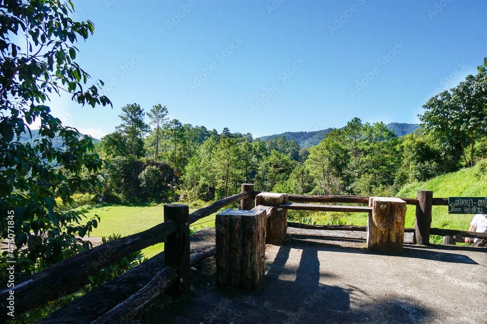 Fototapeta premium wooden bridge in the park