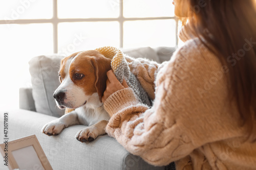 Woman covering her cute dog...