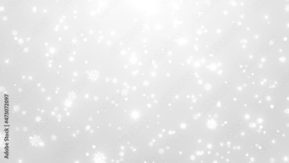 降り注ぐ雪の結晶 白背景 4Kビデオ 降り注ぐ雪の結晶 白背景 4Kビデオ