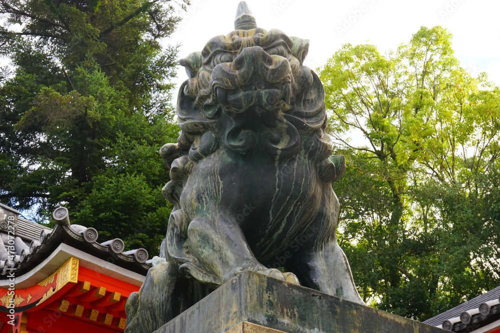 京都 祇園 八坂神社 狛犬 京都 祇園 八坂神社 狛犬