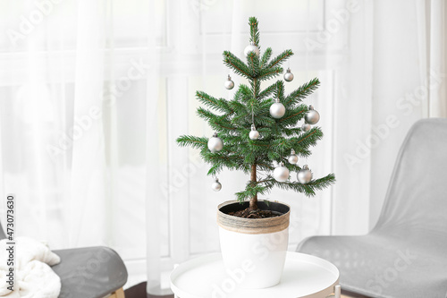 Beautiful decorated Christmas tree in pot on table indoors © Pixel-Shot