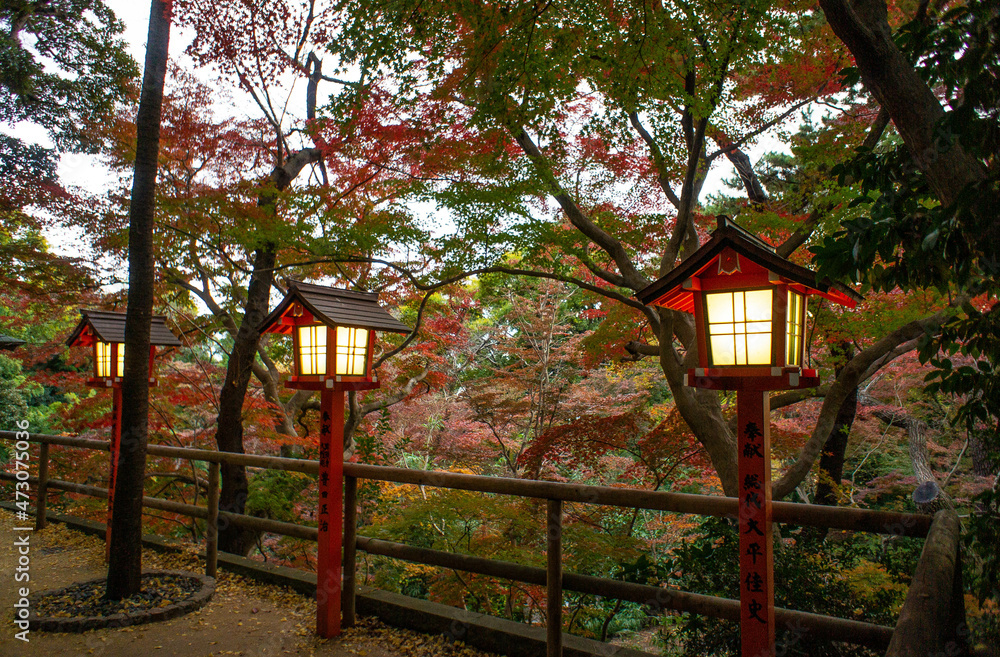 temple, autumn,japan,lanterne,redleaves,sky,chochin,
tokyo,forest,hudoson,red,寺,不動尊, 紅葉,灯篭,赤,森,灯り,