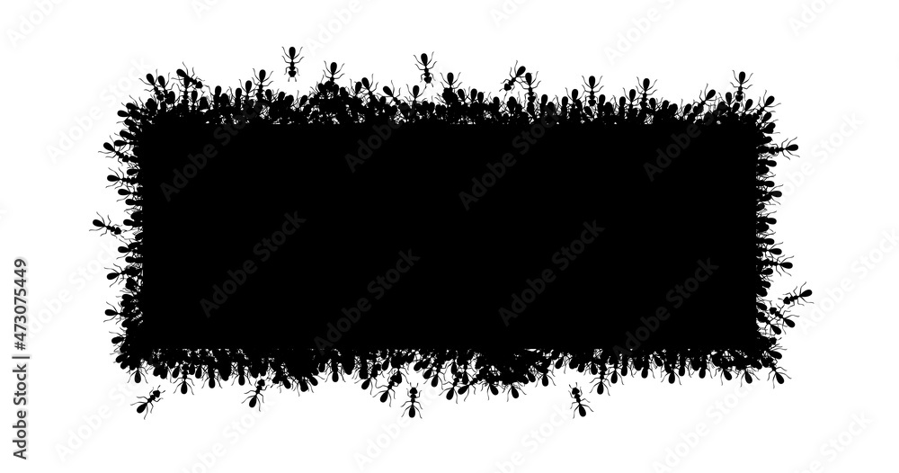 Black ants square border. Ants forming rectangular shape isolated in white background. Vector illustration Black ants square border. Ants forming rectangular shape isolated in white background. Vector illustration