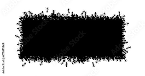 Black ants square border. Ants forming rectangular shape isolated in white background. Vector illustration