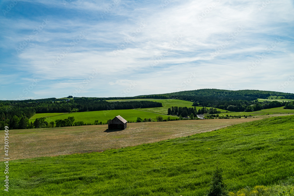 Obraz premium landscape with a barn