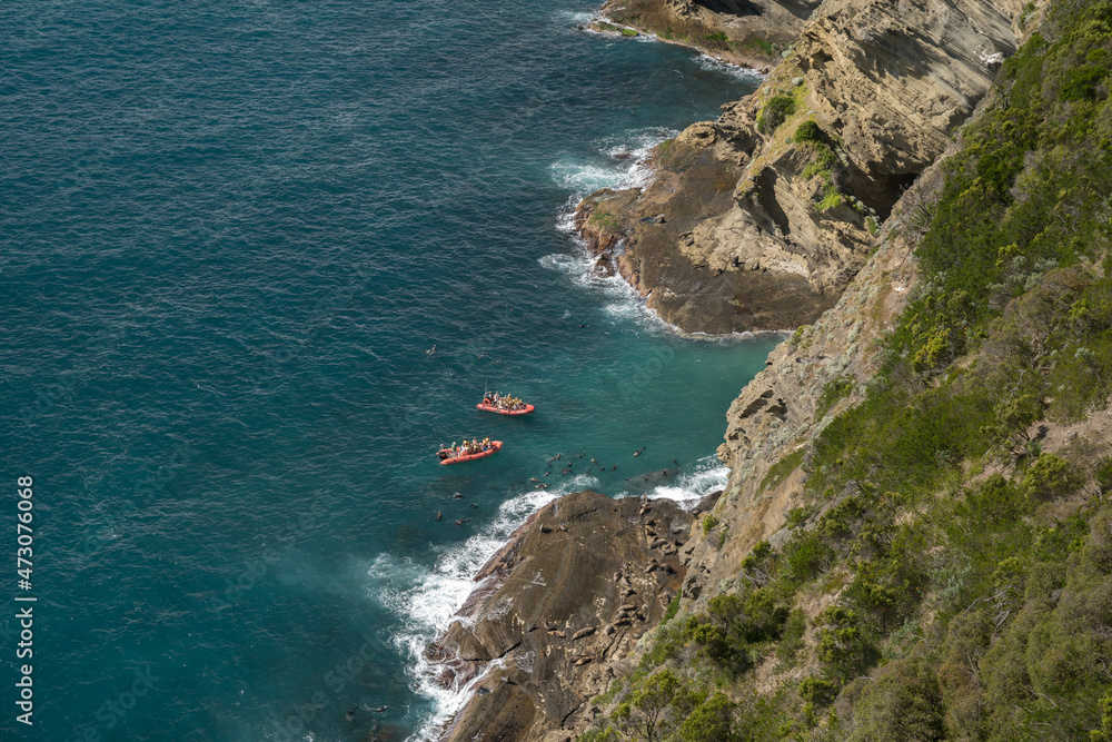 red boat heading towards colony of seals in Portland Victoria in Australia