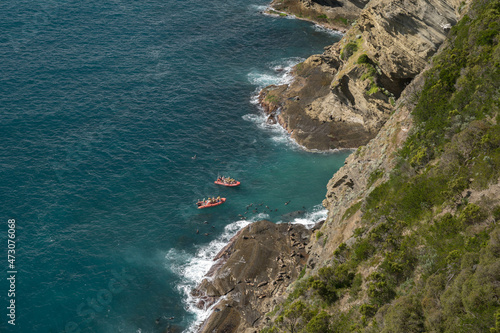 red boat heading towards colony of seals in Portland Victoria in Australia
