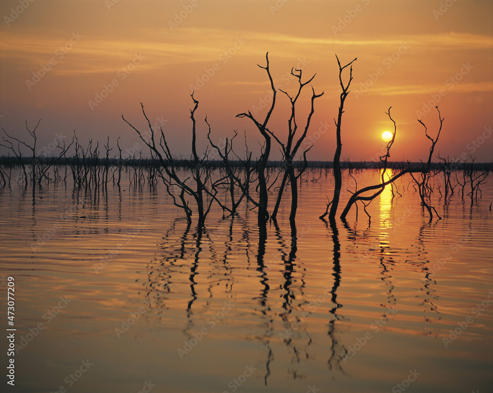 Sunset over Lake Kariba near Fothergill island, Zimbabwe,Africa. Sunset over Lake Kariba near Fothergill island, Zimbabwe,Africa.