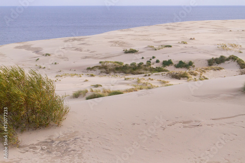 Curonian spit (Kurshskaya kosa) views in Zelenogradsk (Kranz), Russia. Sand, dunes and Baltic sea at Curonian spit. photo