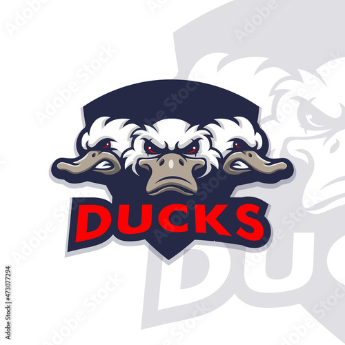 Three Duck mascot logo design illustration for sport, esport, gaming or team