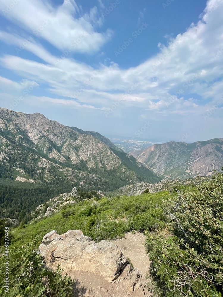 Fototapeta premium landscape with sky