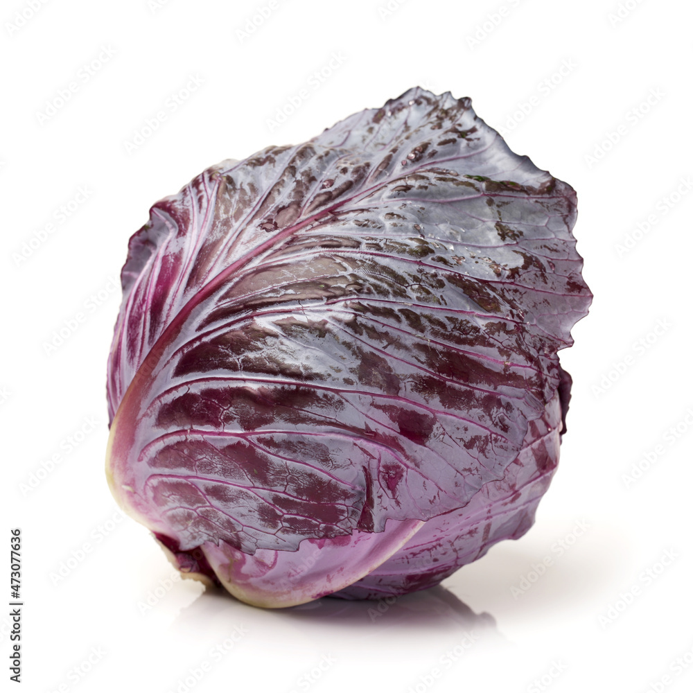 Obraz premium red cabbage isolated on white background