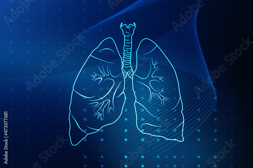 Photography Healthy Human Lungs 2d illustration