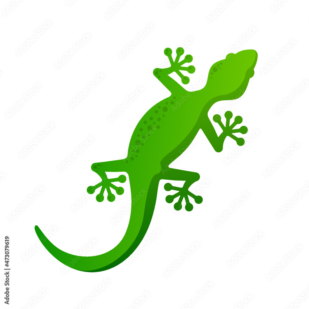 Fototapeta premium Madagascar Gecko lizard vector illustration Simple salamander Logo Icon reptile Clipart