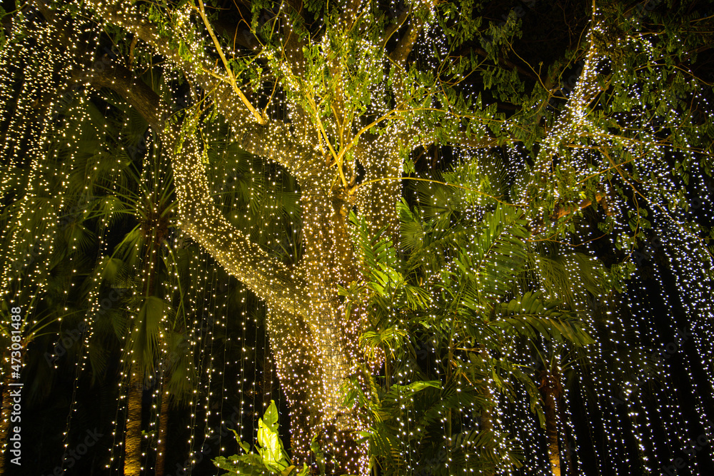 Decorative outdoor string lights hanging on tree in the garden at night time