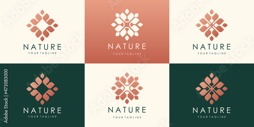 luxury flower lotus vector logo design. Linear universal leaf floral logo