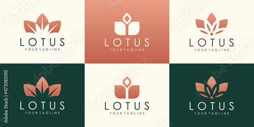 luxury lotus vector logo design. Linear universal leaf floral logo