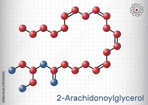 2-Arachidonoylglycerol, 2-AG molecule. It is an endocannabinoid, formed from omega-6 arachidonic acid and glycerol. Molecule model. Sheet of paper in a cage