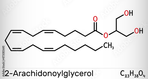2-Arachidonoylglycerol, 2-AG molecule. It is an endocannabinoid, formed from omega-6 arachidonic acid and glycerol. Skeletal chemical formula