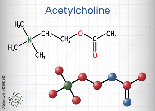 Acetylcholine, ACh molecule. It is parasympathomimetic neurotransmitter, vasodilator agent, hormone, human metabolite. Structural chemical formula and molecule model. Sheet of paper in a cage