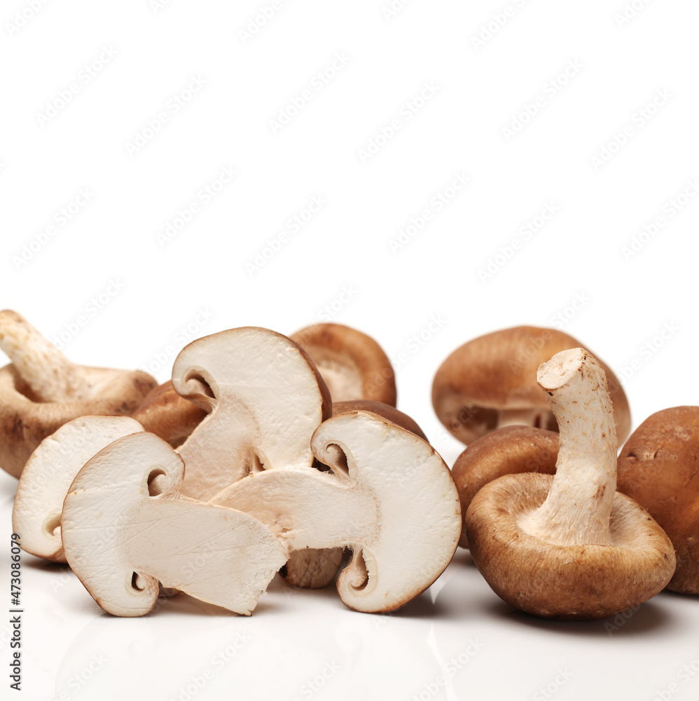 Fototapeta premium Shiitake mushroom on the White background 