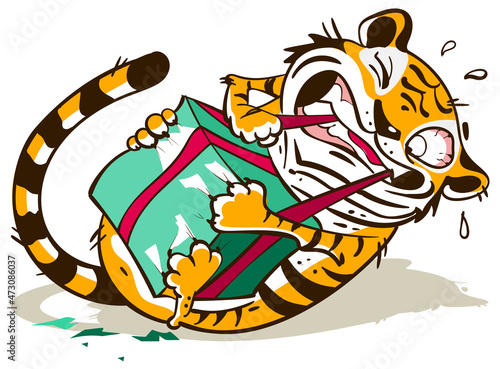 Funny cute tiger rip open gift christmas box. Tiger animal symbol of 2022 year