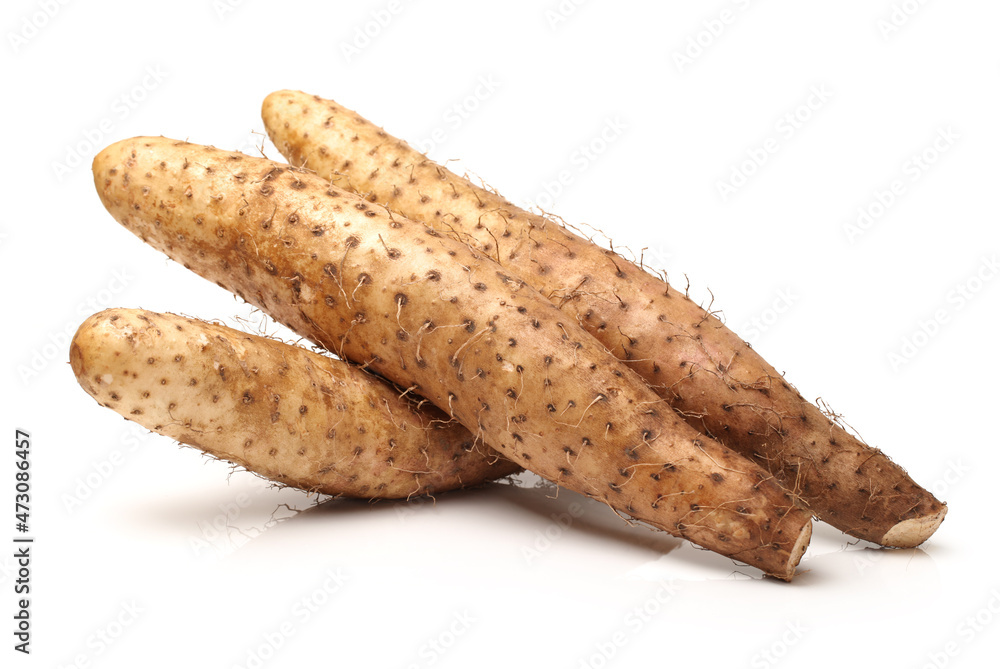 Chinese yam on white background Chinese yam on white background