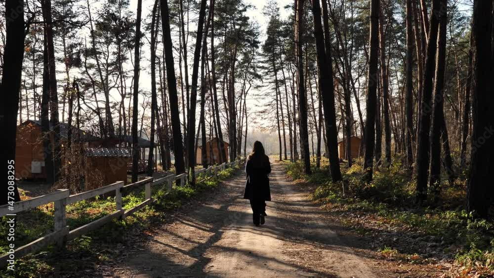 A person walks in the woods on a path in a pine forest. Young woman, girl in black clothes resting in autumn on the nature between the trees in slow motion A person walks in the woods on a path in a pine forest. Young woman, girl in black clothes resting in autumn on the nature between the trees in slow motion