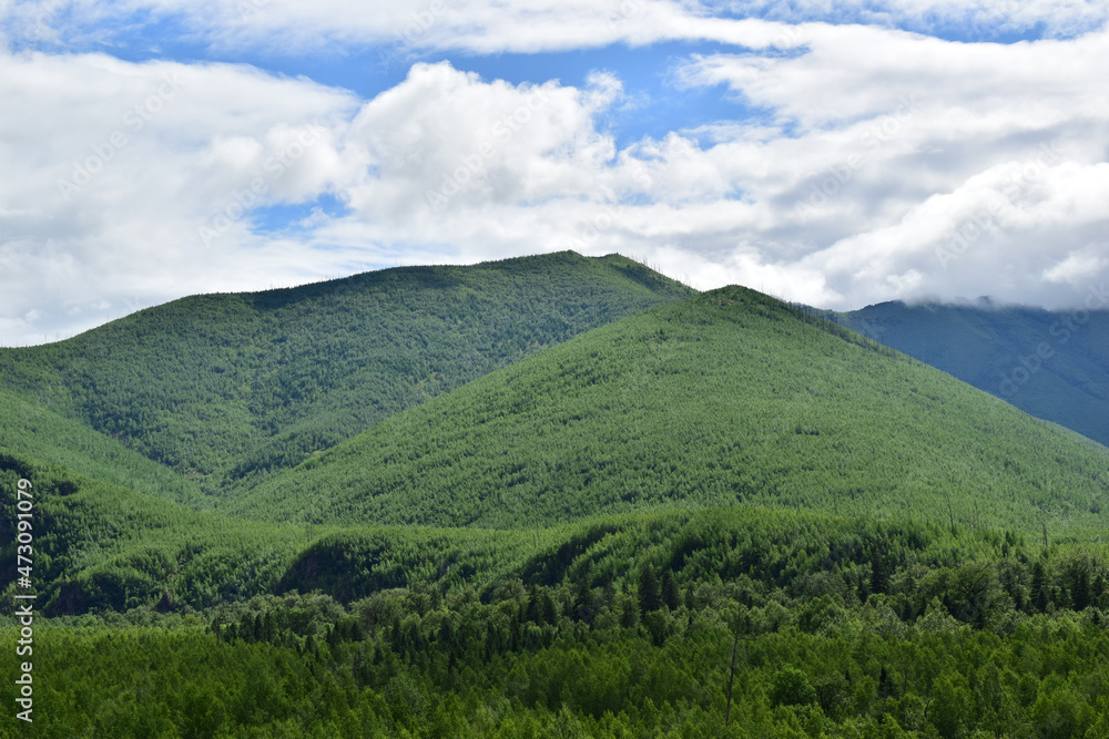 Fototapeta premium The green mountains of Sikhote-Alin. Blue sky with white clouds.