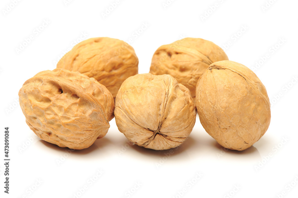 walnut isolated on white background walnut isolated on white background
