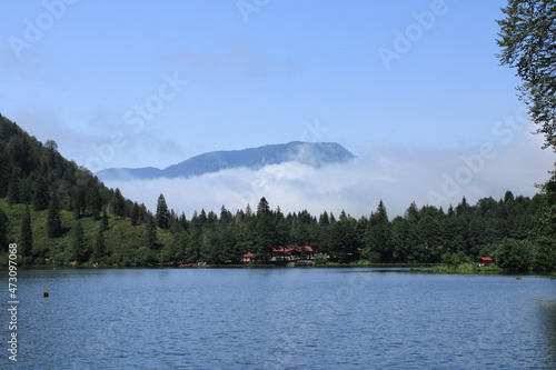 natural forest lake landscape photo