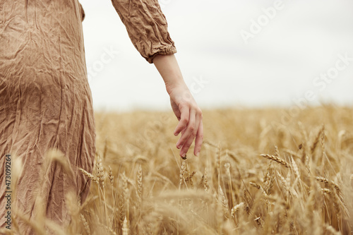 Image of spikelets in hands countryside industry cultivation autumn season concept