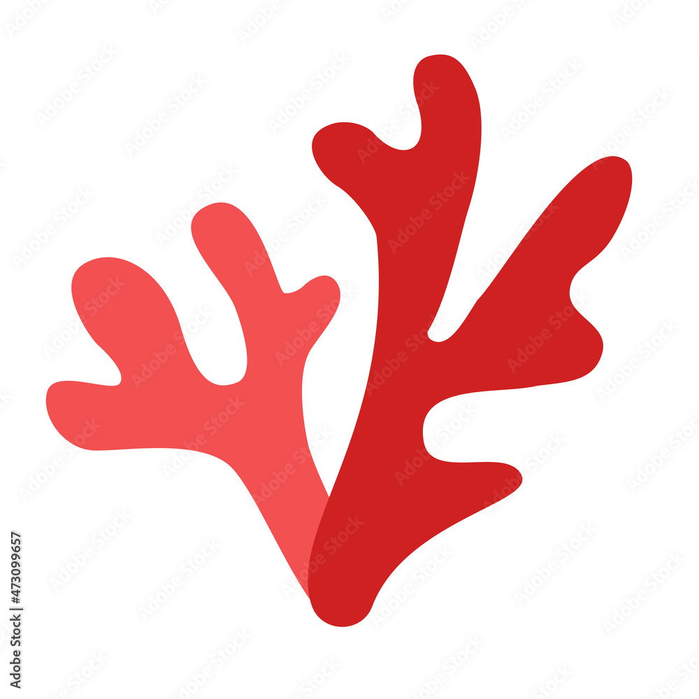 Two coral twigs isolated background Two coral twigs isolated background