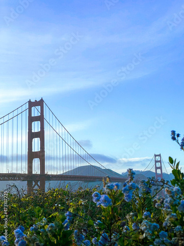 Golden Gate Bridge © Yoselincaro