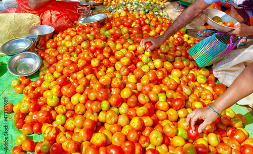 Customers selecting tomatoes. woman and man picking fresh vegetables on the market. Male and female hands.