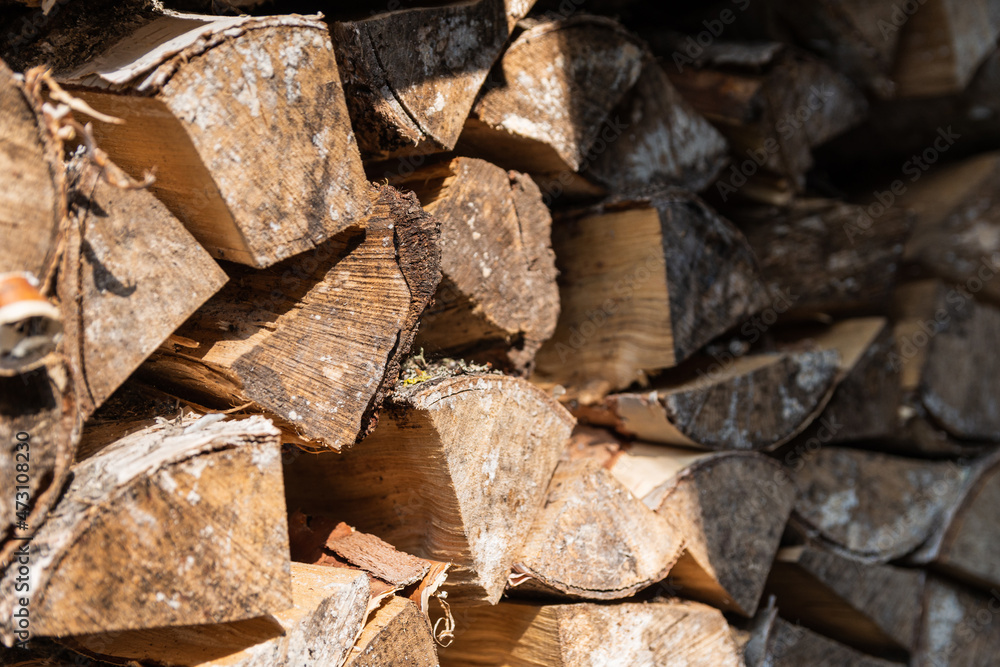 Closeup photo of various dry logs stacked in rows, illuminated by sunlight. The structure of the tree. Decorative wooden layout. Angle shot with selective focus Closeup photo of various dry logs stacked in rows, illuminated by sunlight. The structure of the tree. Decorative wooden layout. Angle shot with selective focus