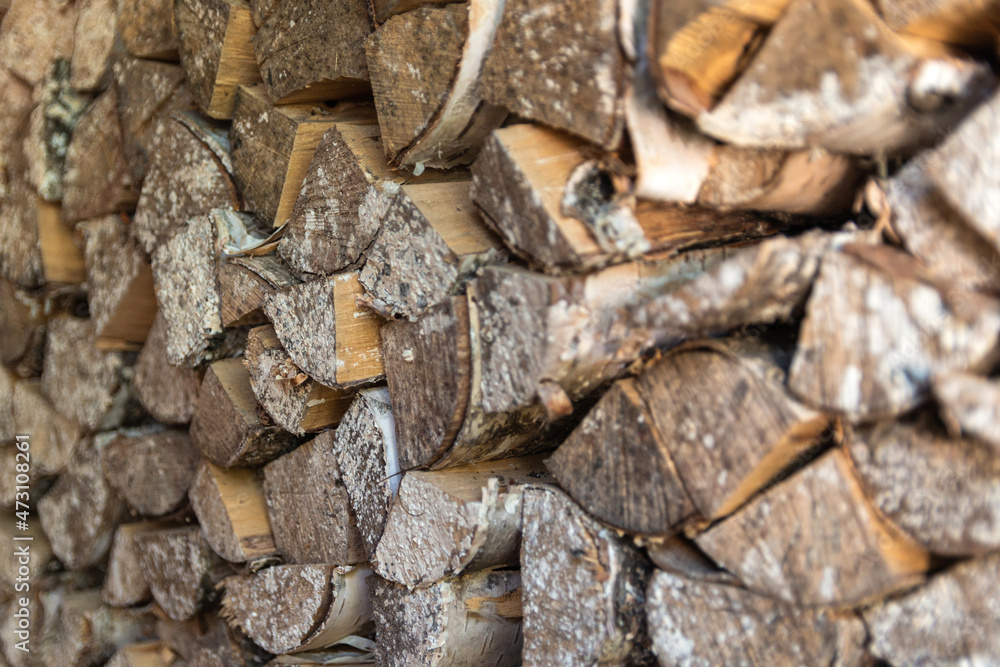 Closeup photo of dry logs with mold stacked in rows. The structure of the tree. Decorative wooden layout. Angle shot with selective focus Closeup photo of dry logs with mold stacked in rows. The structure of the tree. Decorative wooden layout. Angle shot with selective focus