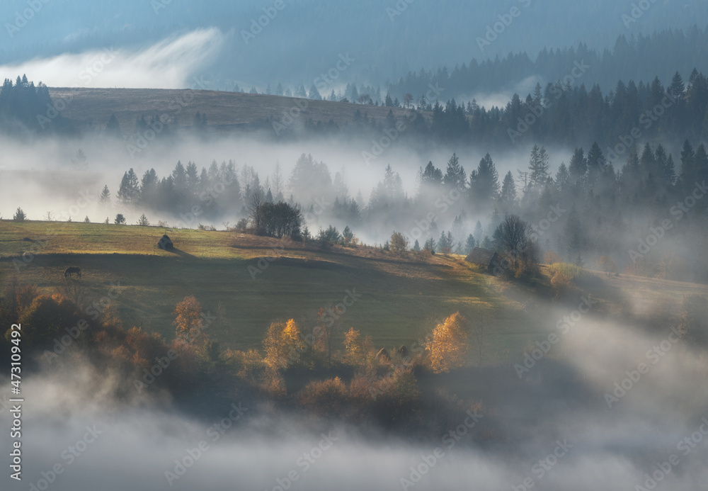 A stunning view of the village shrouded in fog. Rhythmic hills in a haze. Early morning. Autumn time. Sunny state. A small house in a dense forest. Nature blue background. Carpathians. Western Ukraine