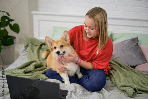 teenage girl with funny corgi dog and laptop on bed at home. Cozy workplace, online education, E-learning concept. Distance communication with laptop